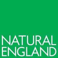 Weald to Waves Logo