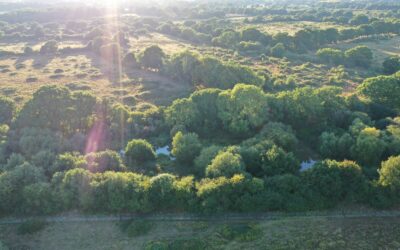 From promises to practice, what the Environmental Improvement Plan means for nature on the ground