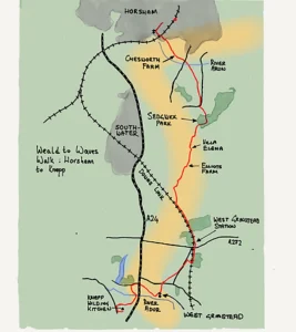Horsham to Knepp Walk