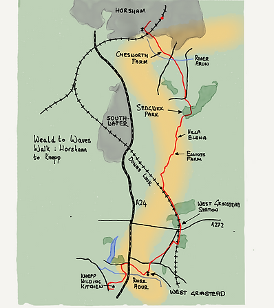 Horsham to Knepp Walk