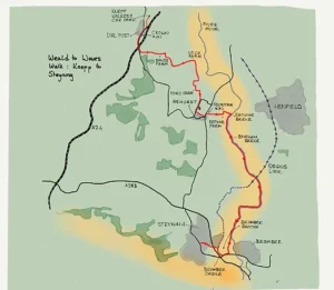 Knepp to Steyning Walk