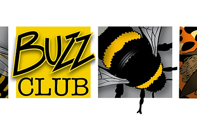 Buzz Club- Bug Bunker Project