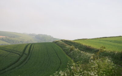 Farming Through Uncertainty: Navigating Policy, Funding and Nature Markets in 2025