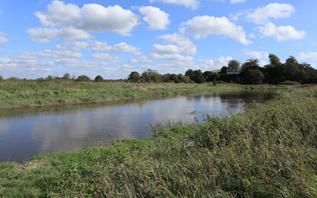 Non-Calcareous Rivers and Streams