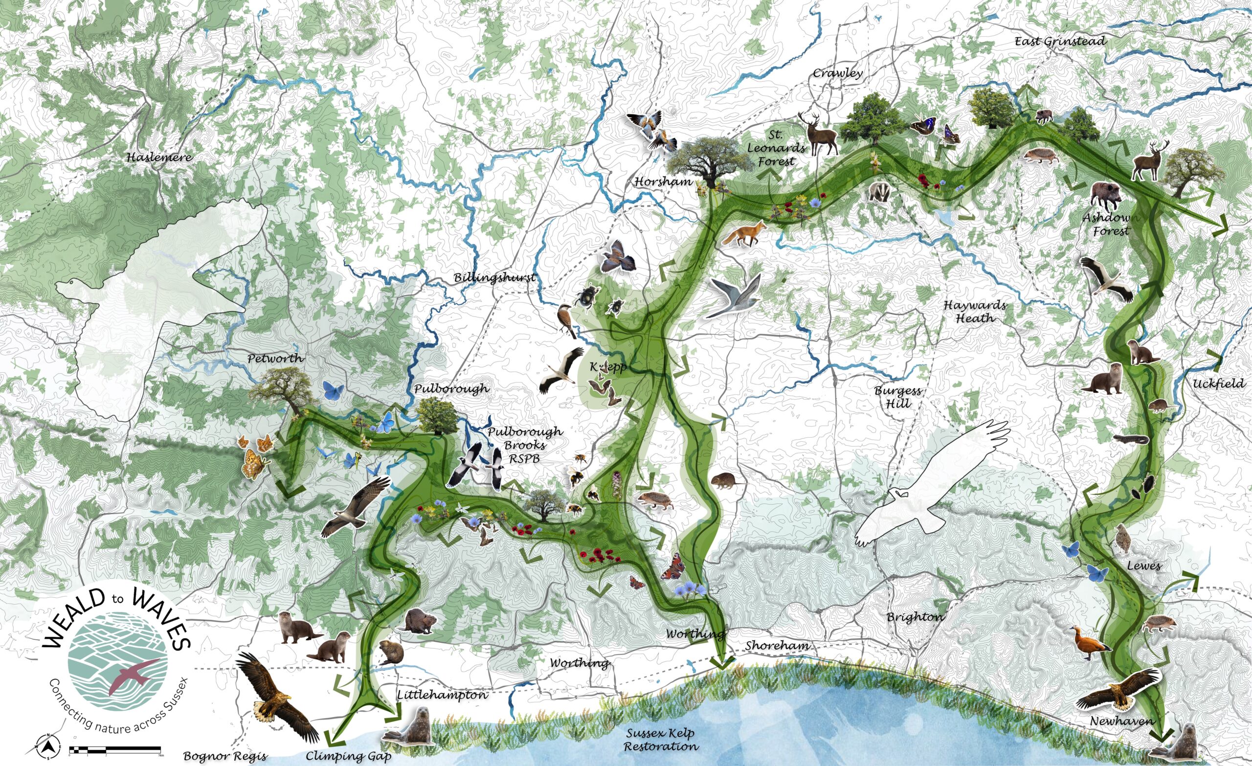 Weald to Waves Corridor Map