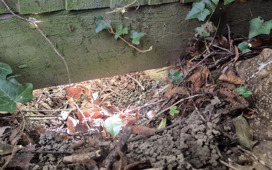 Gaps under fences by Amy Hurn