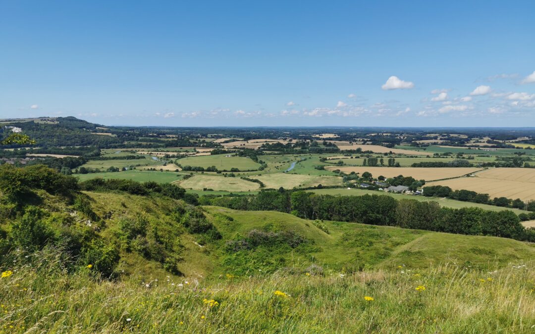 Calcareous Grassland, Malling Down Nature Reserve by Paul Farmer, CC BY-SA 2.0