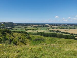 Calcareous Grassland, Malling Down Nature Reserve by Paul Farmer, CC BY-SA 2.0