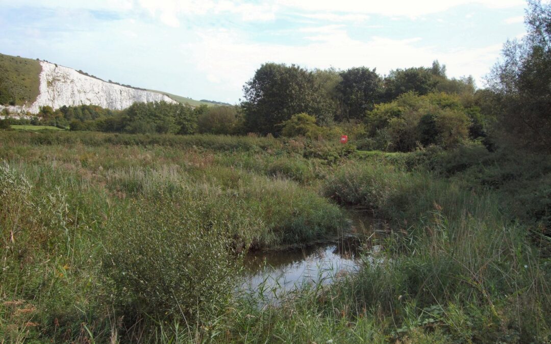 Winterbourne Stream by Paul Gillett, CC BY-SA 2.0