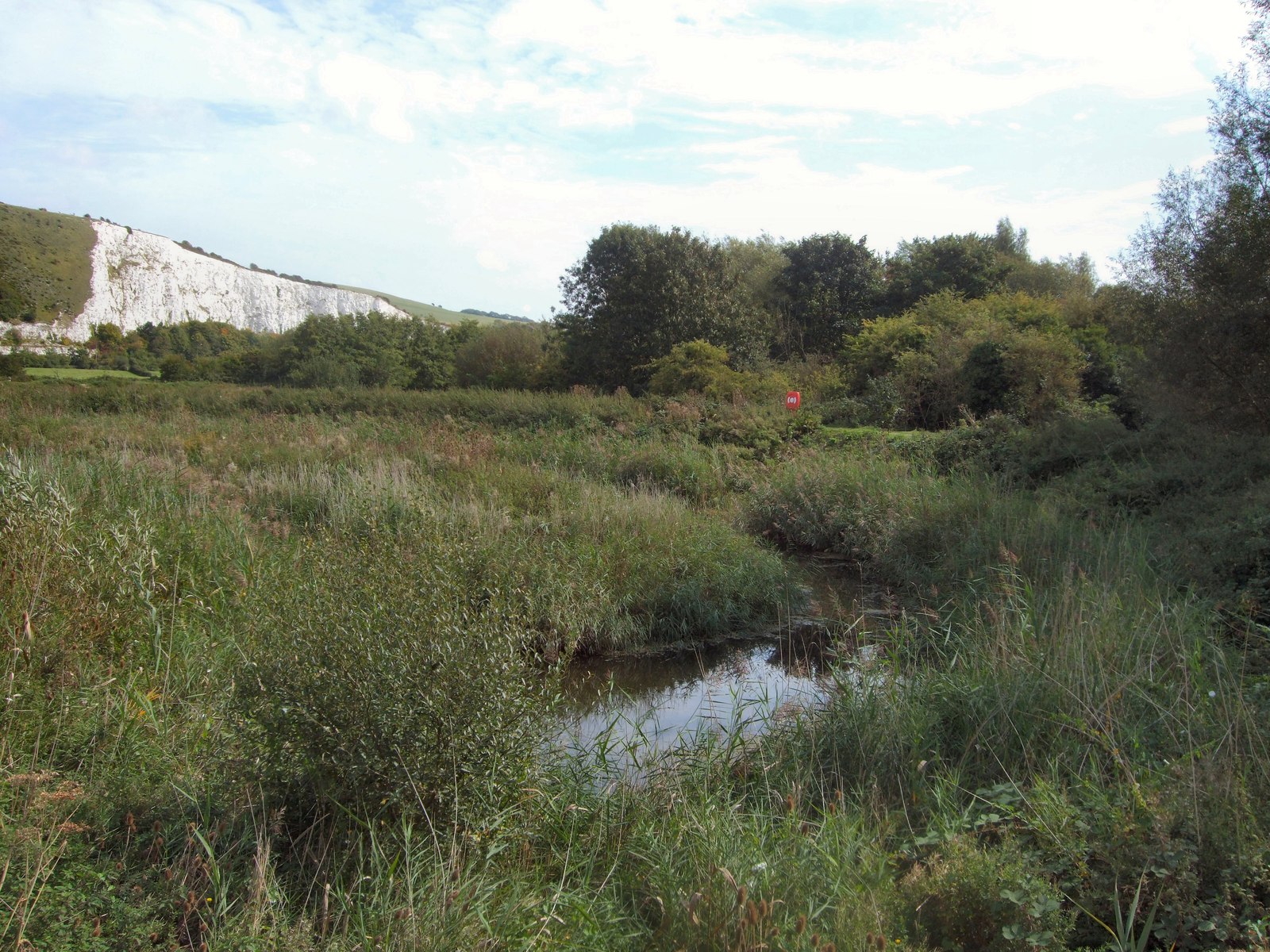 Winterbourne Stream by Paul Gillett, CC BY-SA 2.0