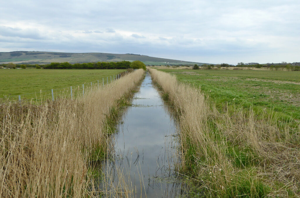 Ditches