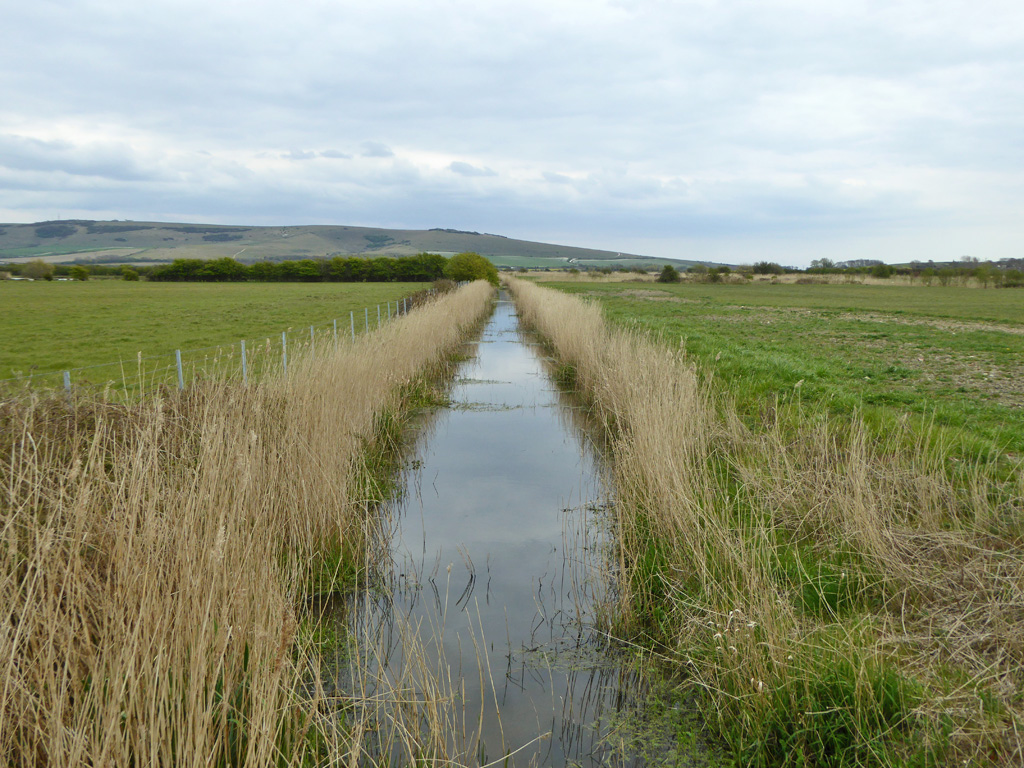 Ditch, Lewes Brooks, by Robin Webster, CC BY-SA 2.0