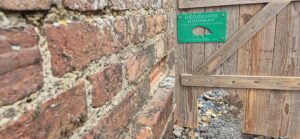 Hedgehog hole, by Amy Hurn