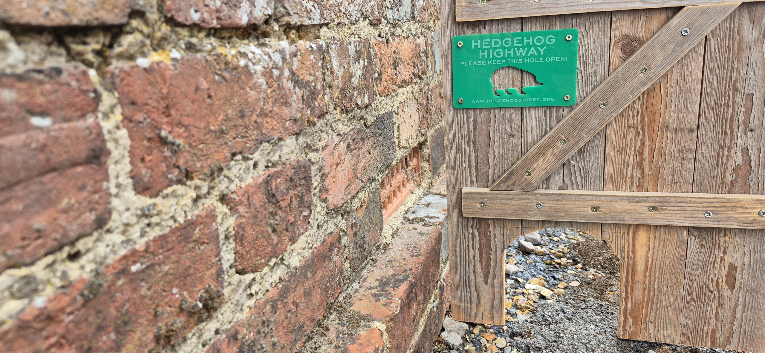 Hedgehog hole, by Amy Hurn