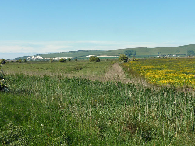 Lowland meadows and pastures