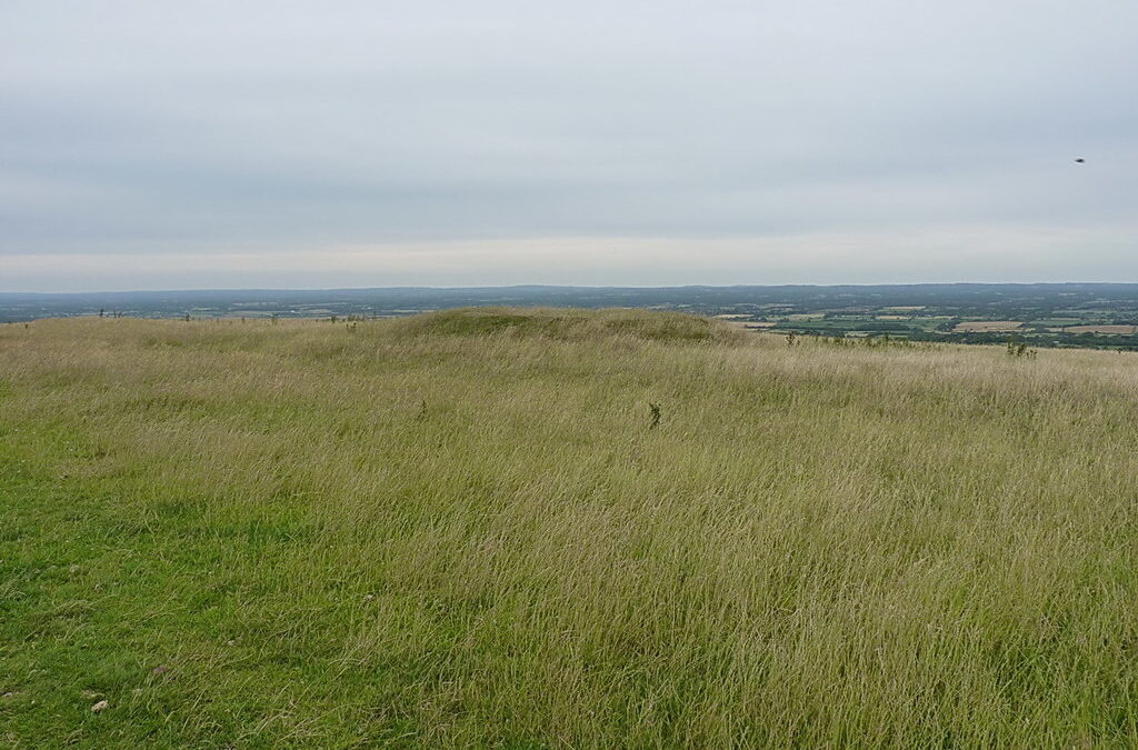 Modified grasslands