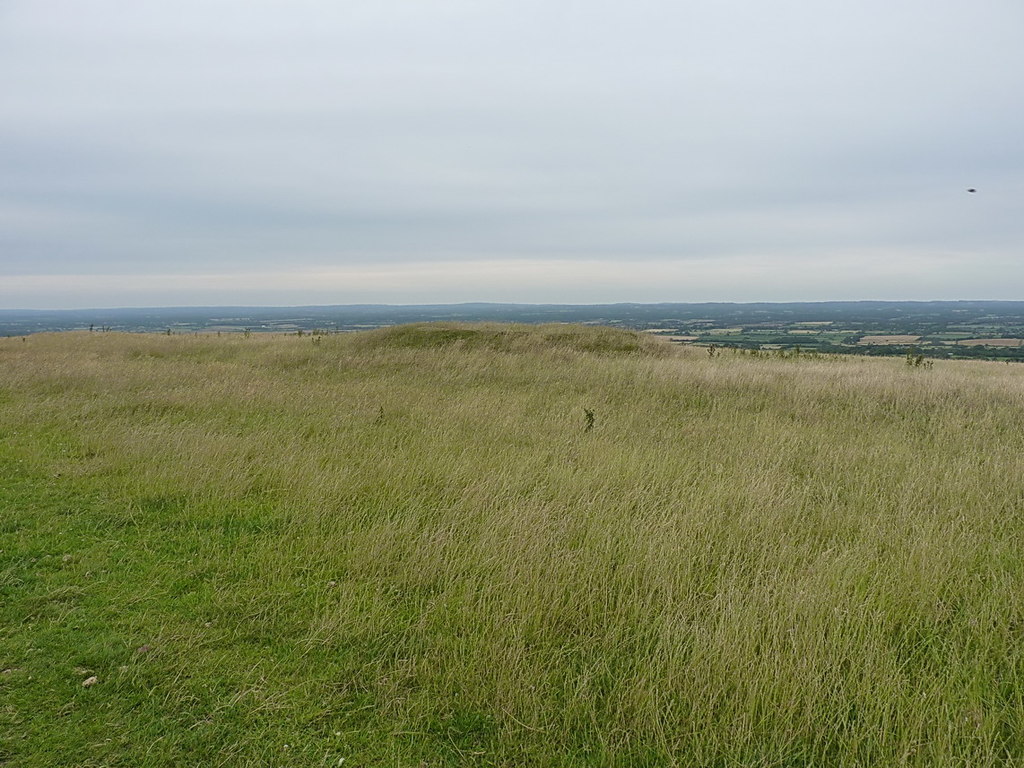 Modified Grassland in East Sussex, taken by Richard Law, CC BY-SA 2.0