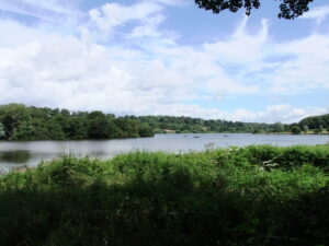 Standing Water, Weir Wood Reservoir by Paul Farmer, CC BY-SA 2.0