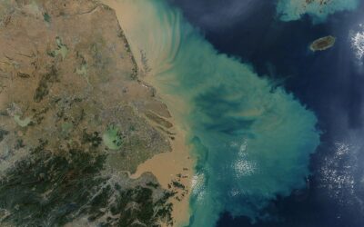 From Land to Sea: Sediment in Sussex