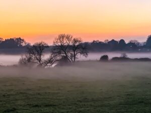 Weald to waves landscape