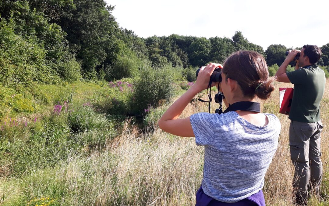 Monitoring 100 miles: are you up for the challenge?