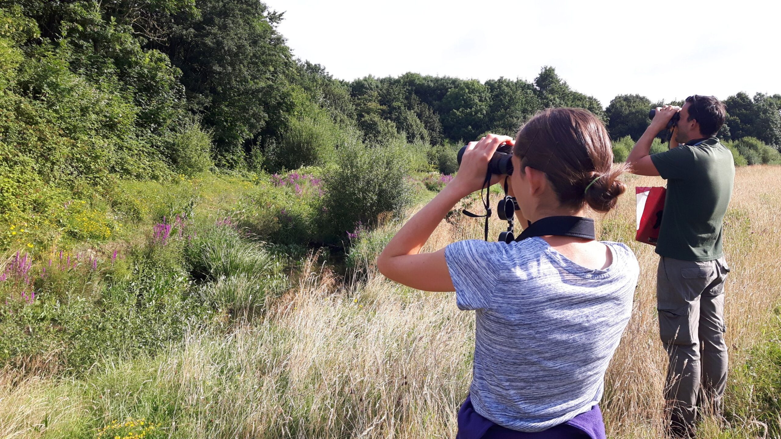 Bird survey 2016 Rachel Bicker