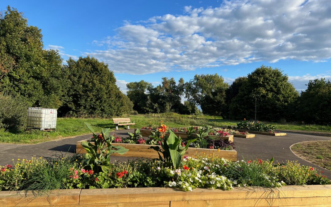 Boosting biodiversity at Brooklands Park