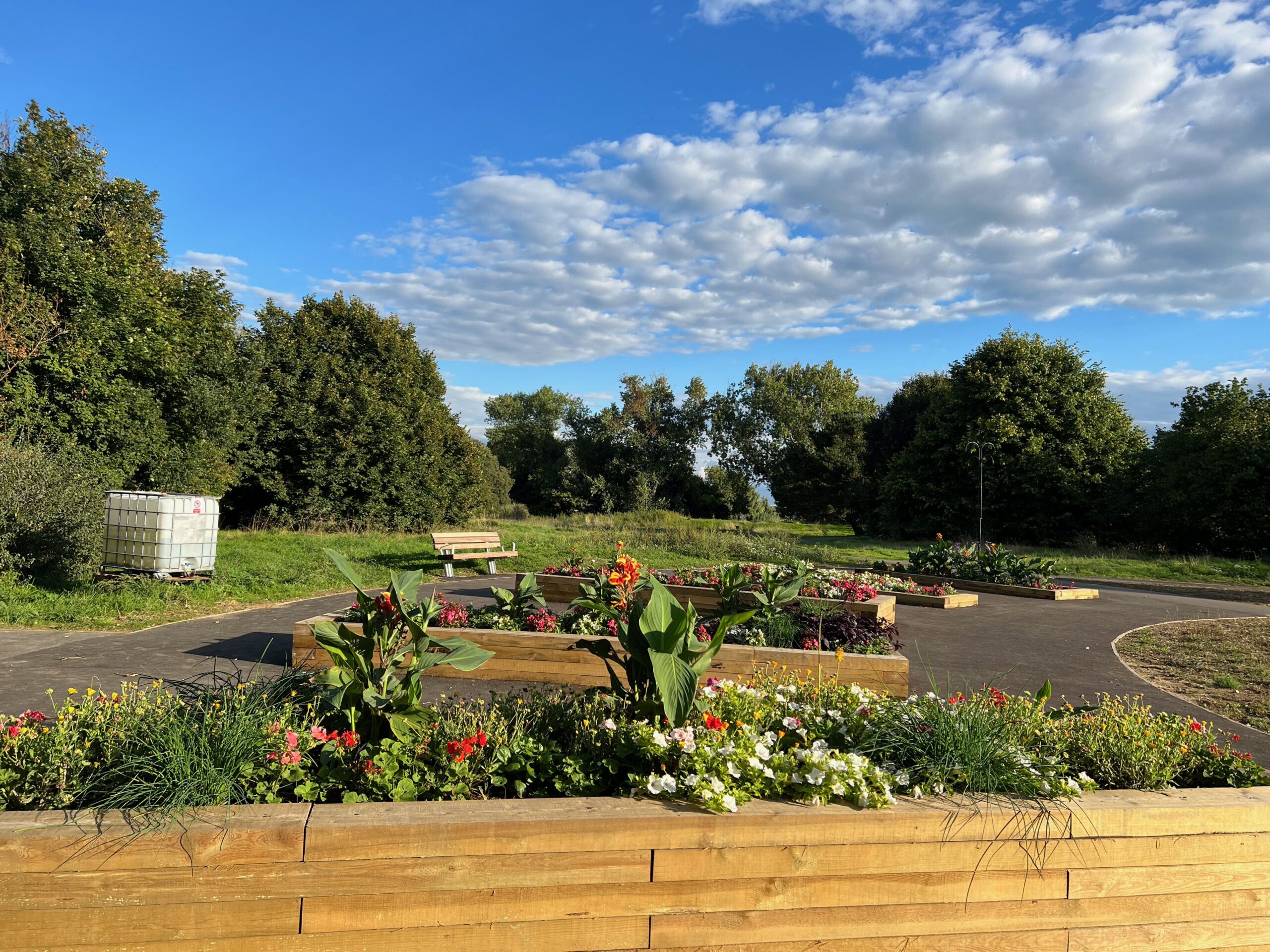 Brookland Park community garden, by Amy Hurn