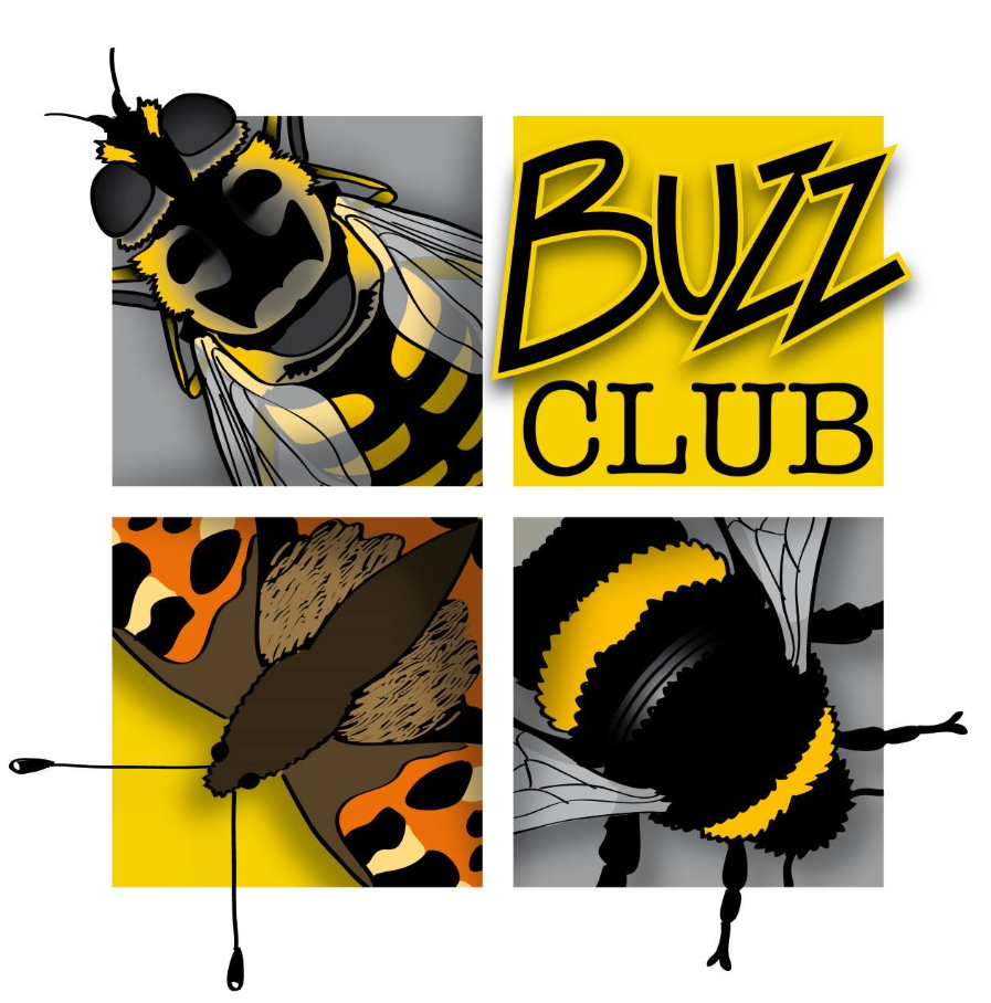 The Buzz Club Logo