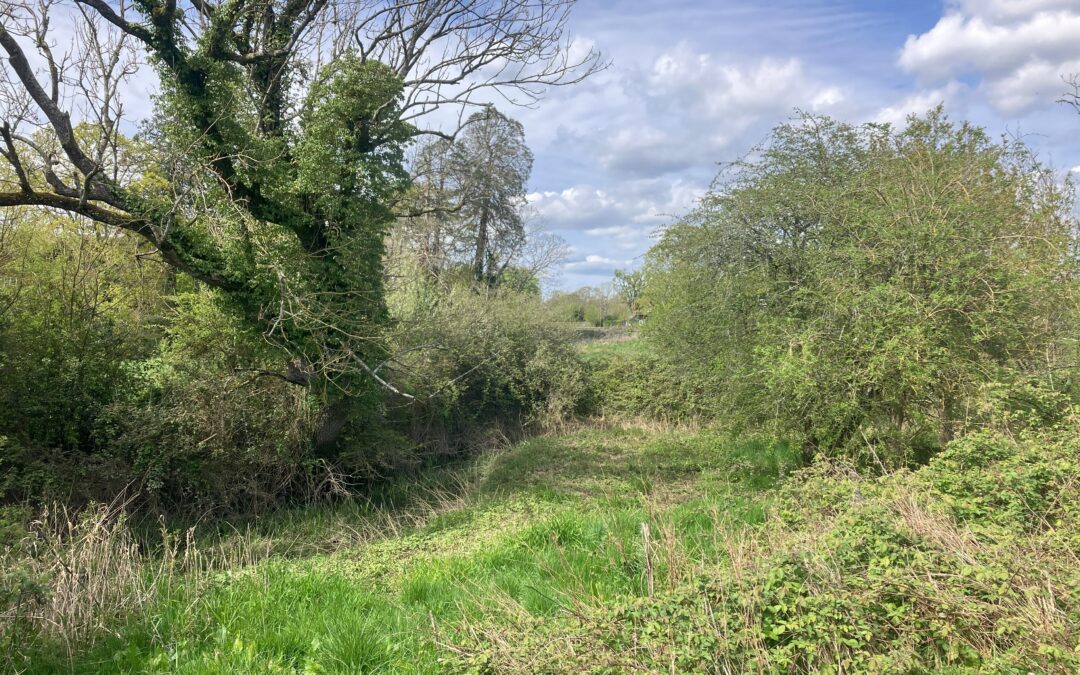 Fairoak Farm rough edges, by Rachel Bicker