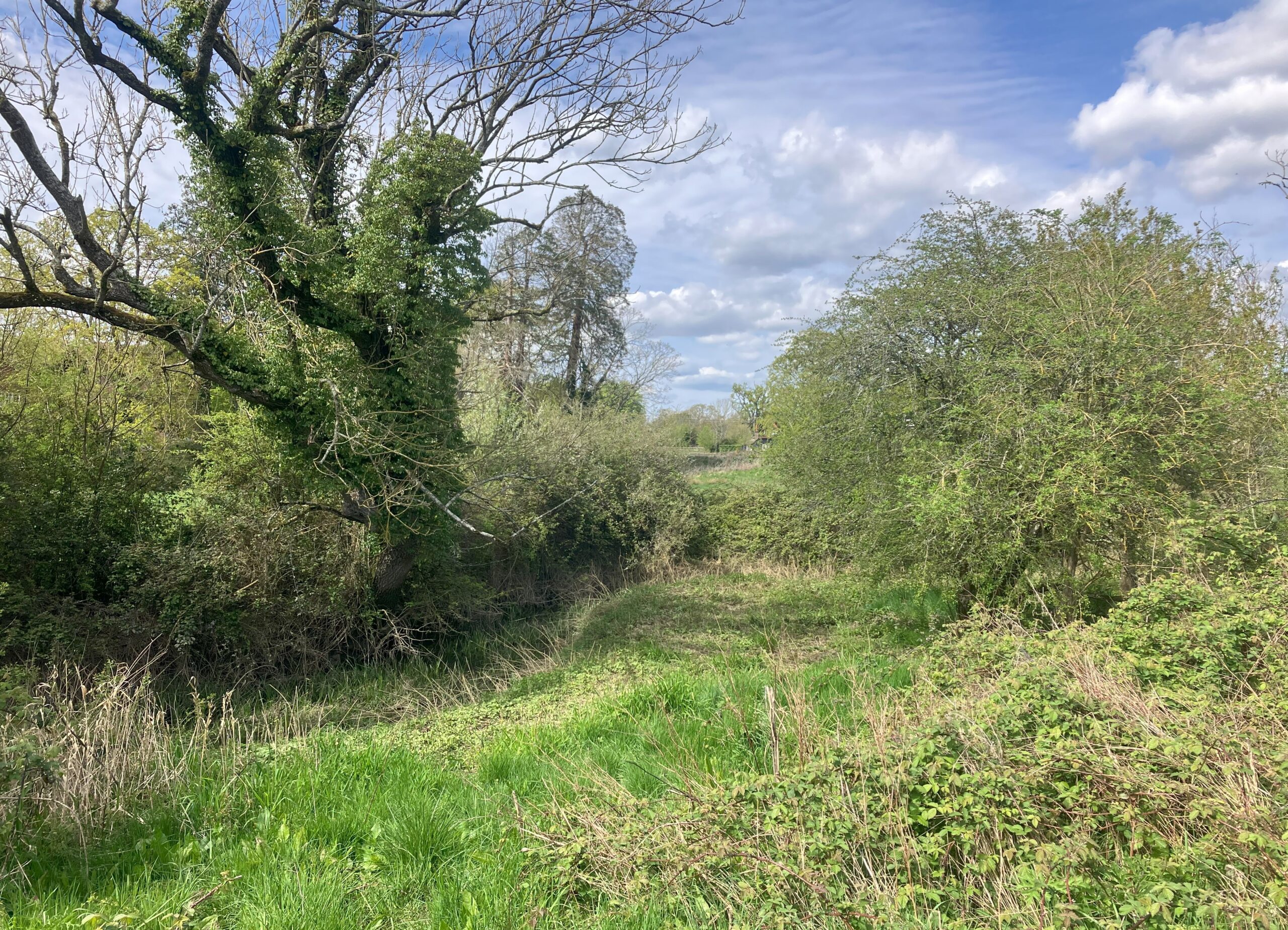 Fairoak Farm rough edges, by Rachel Bicker