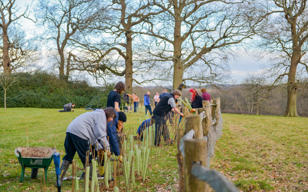 Young Wilders hedge Planting Day