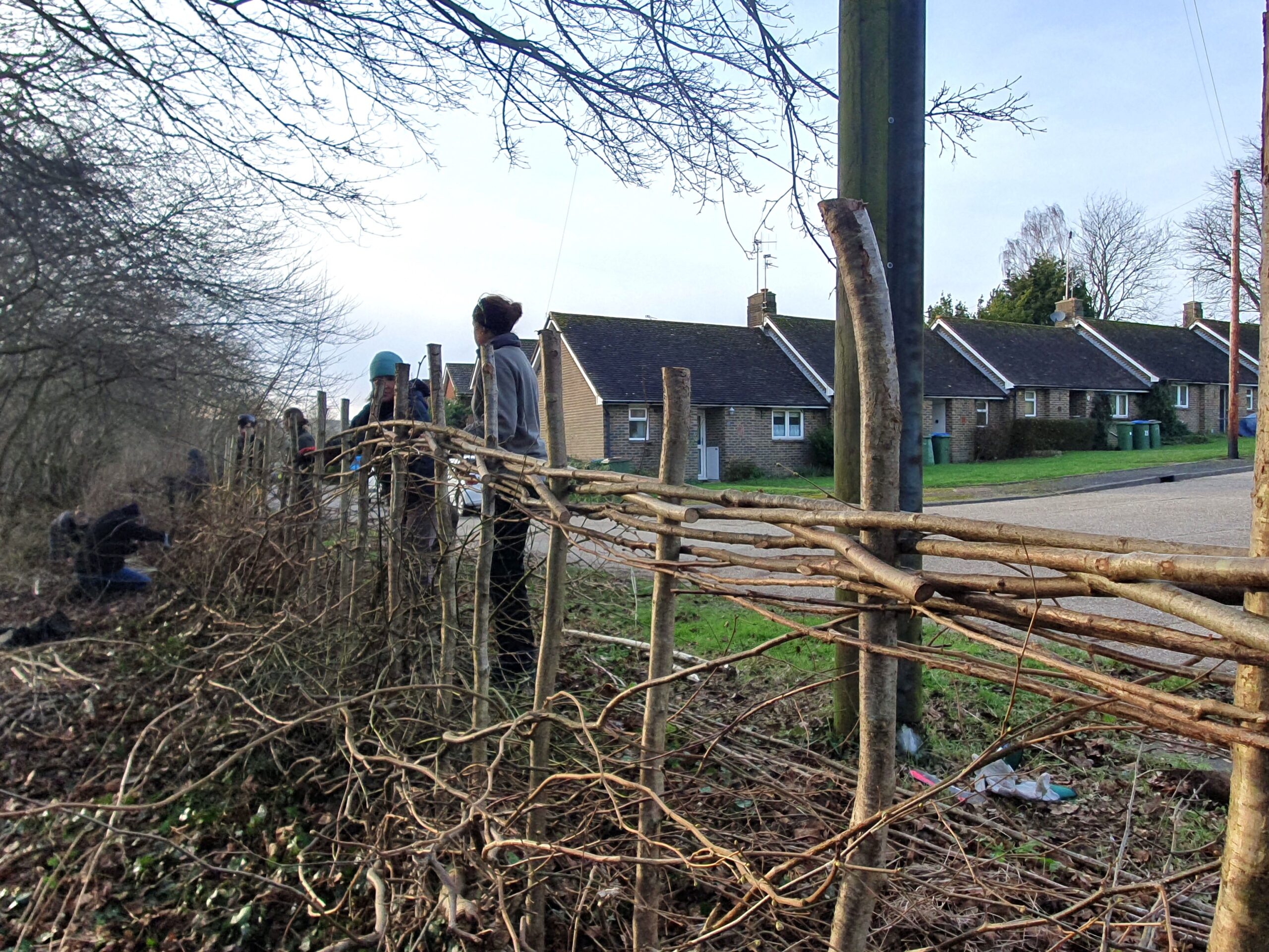 Hedgelaying - Judy Agate