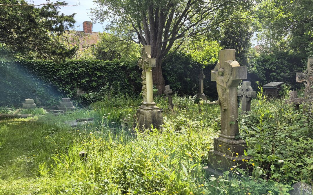 Heene Cemetery by Amy Hurn