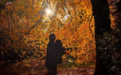 The Richness of Transitions