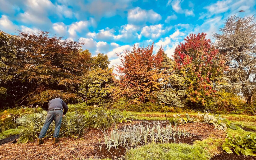 Gardens & Greenspaces survey launched
