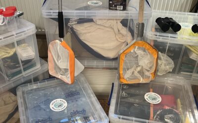 Borrow a Weald to Waves BioBox!