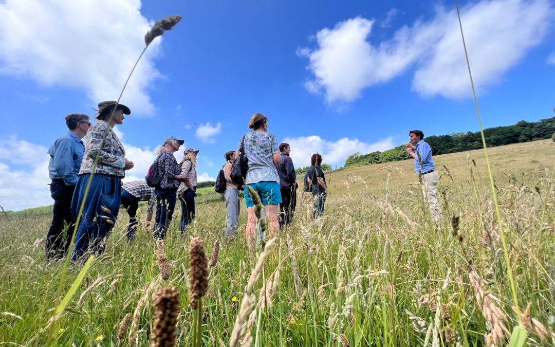 Weald to Waves and Wildlife Trust staff visit to Arun
