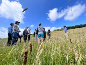 Weald to Waves and Wildlife Trust staff visit to Arun