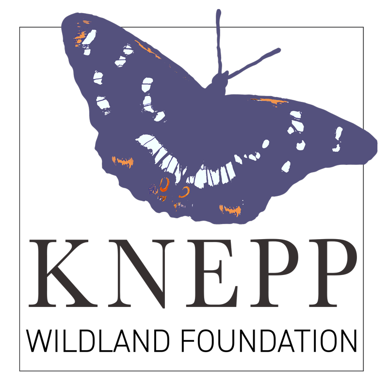 Knepp Wildland Foundation logo
