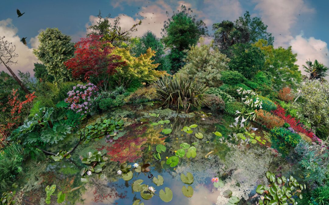Planet Wakehurst: art celebrating biodiversity