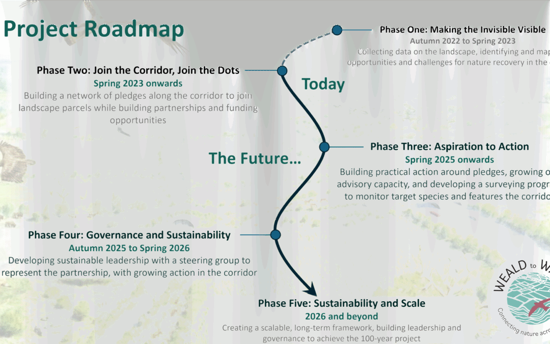 A Roadmap to Creating a Corridor