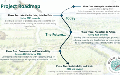 A Roadmap to Creating a Corridor
