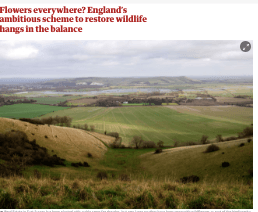 “We are habitat banking”: Iford pilots national scheme for biodiversity