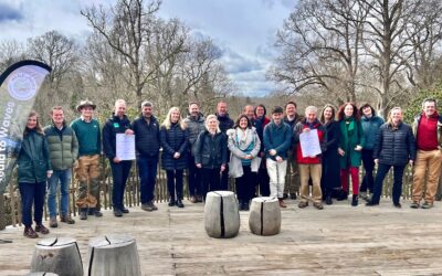 Partnering for Success