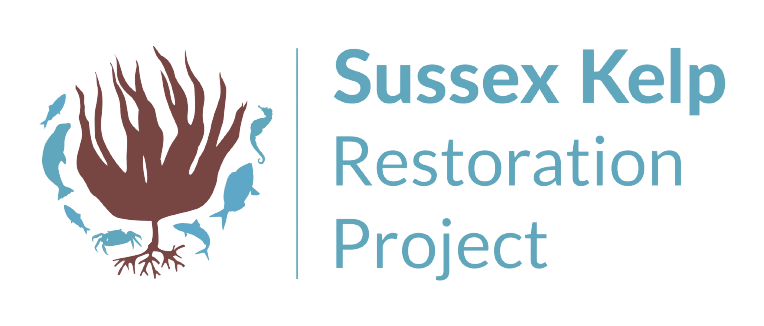 Sussex Kelp Recovery Project logo