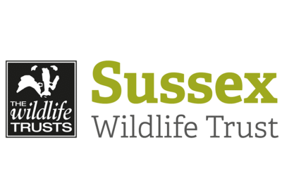 Volunteering Opportunity With Shoresearch