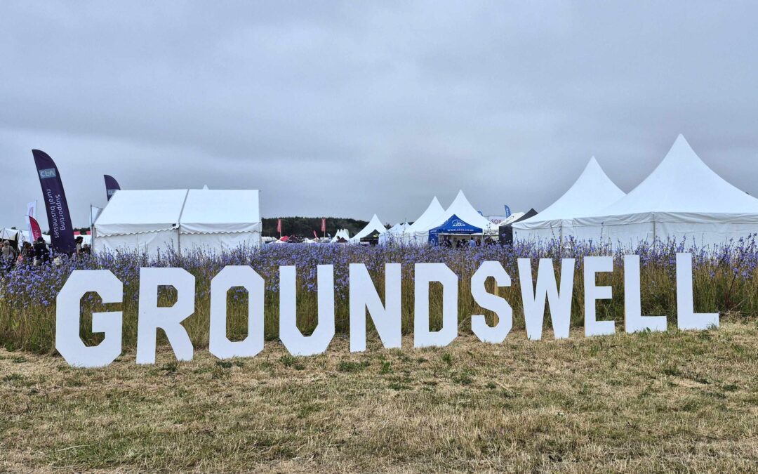 Groundswell 2025: Building connections for people, nature and climate