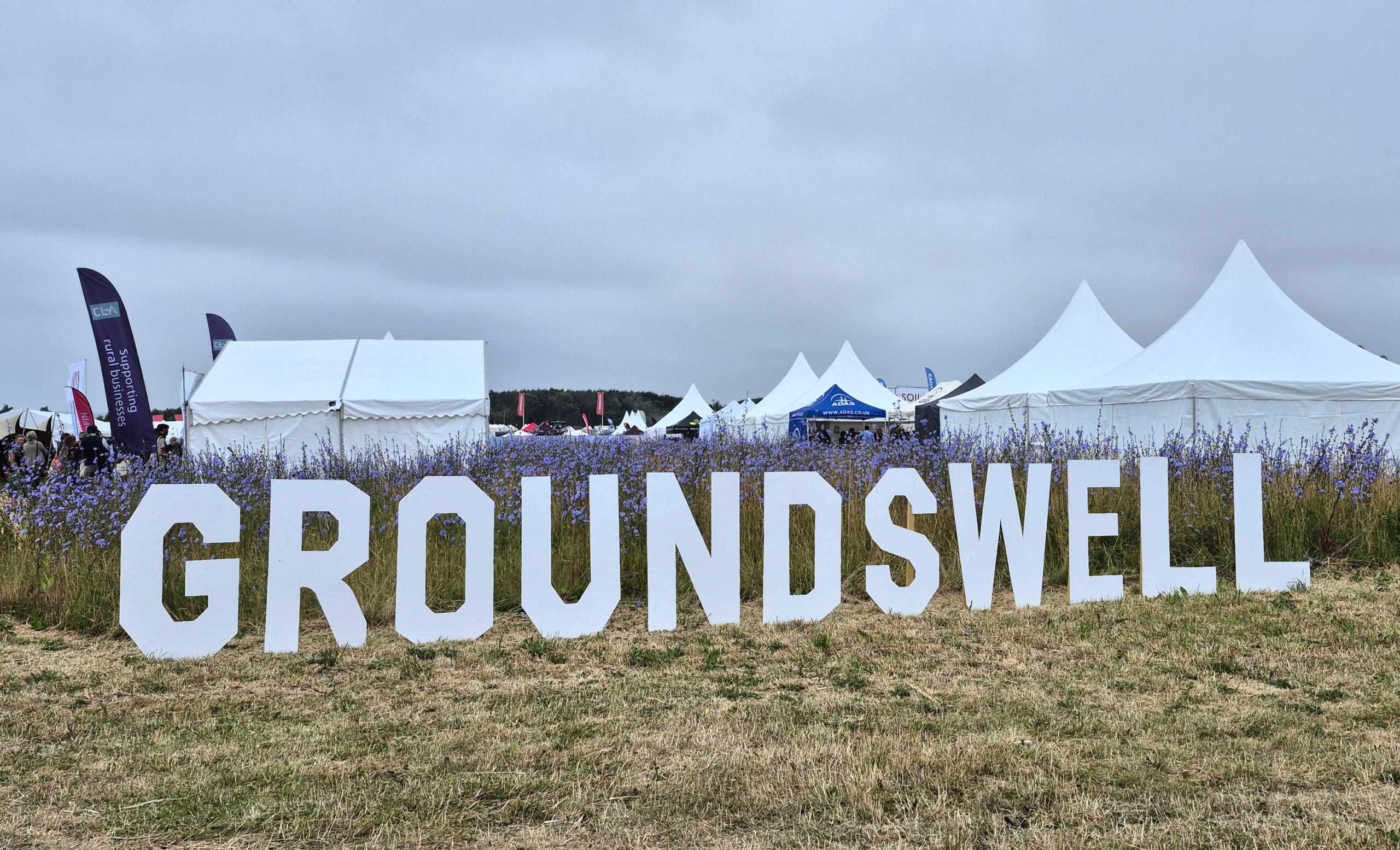 Groundswell Regenerative Agricultural Festival 2025, by Amy Hurn