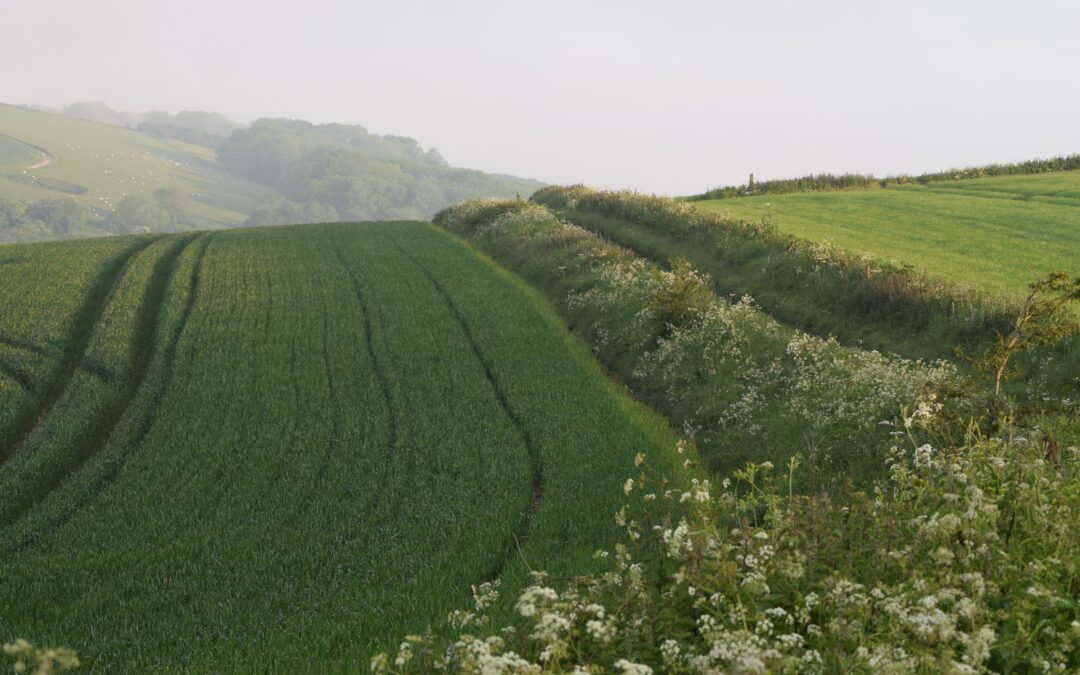 Natural Capital
